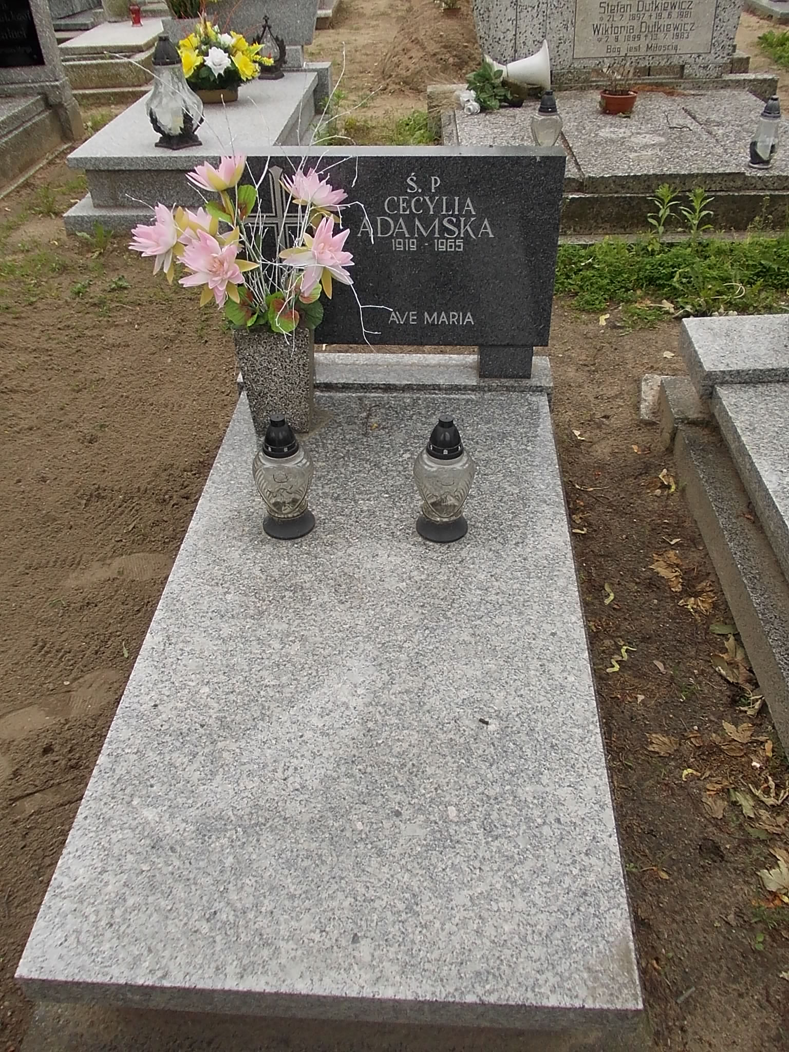 Ignacy Kaczor 1900 Gniezno Fara - Grobonet - Wyszukiwarka osób pochowanych