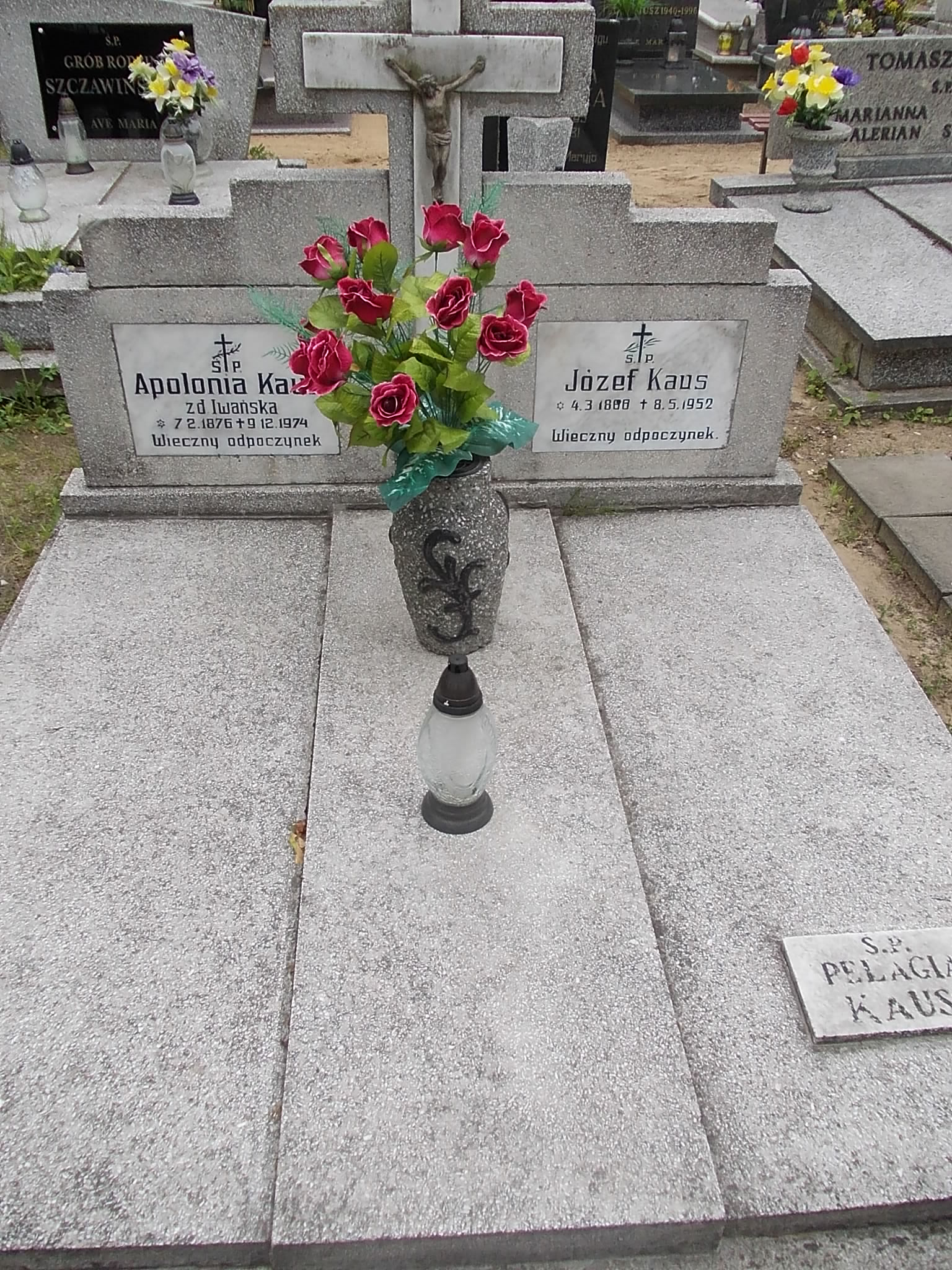 Apolonia Kaus 1876 Gniezno Fara - Grobonet - Wyszukiwarka osób pochowanych