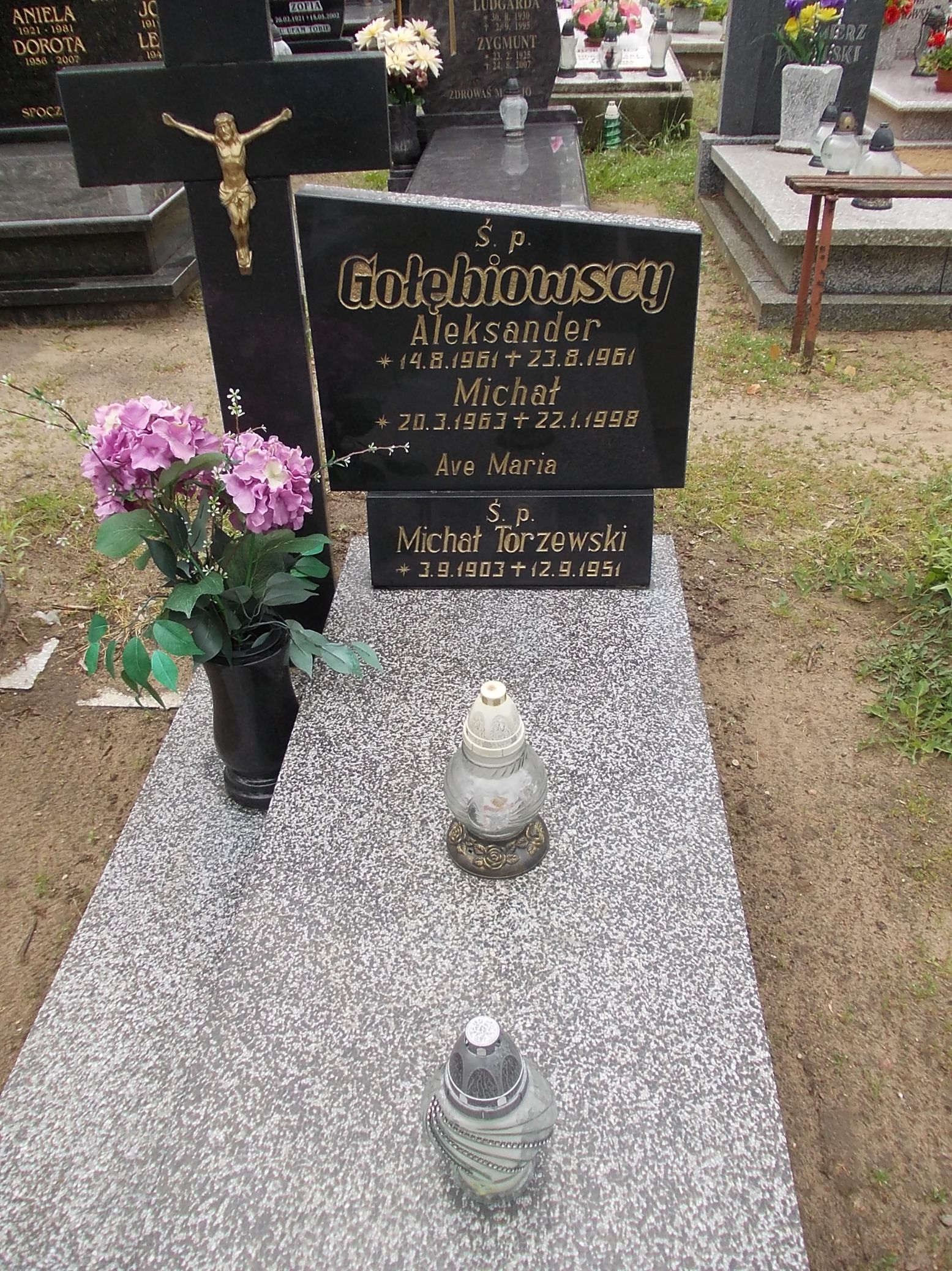 Aleksander Gołębiowski 1961 Gniezno Fara - Grobonet - Wyszukiwarka osób pochowanych