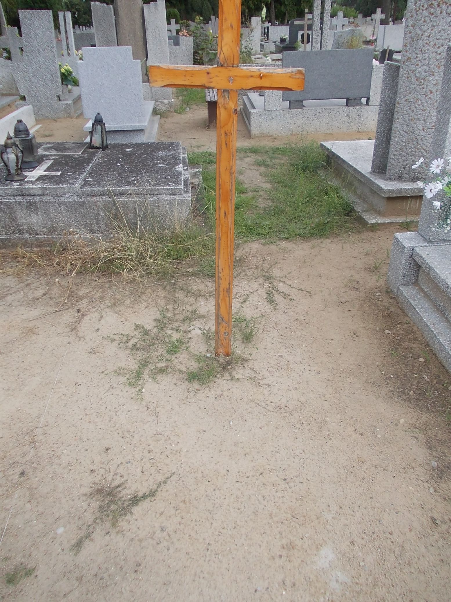 Anna Andrzejewska 1939 Gniezno Fara - Grobonet - Wyszukiwarka osób pochowanych