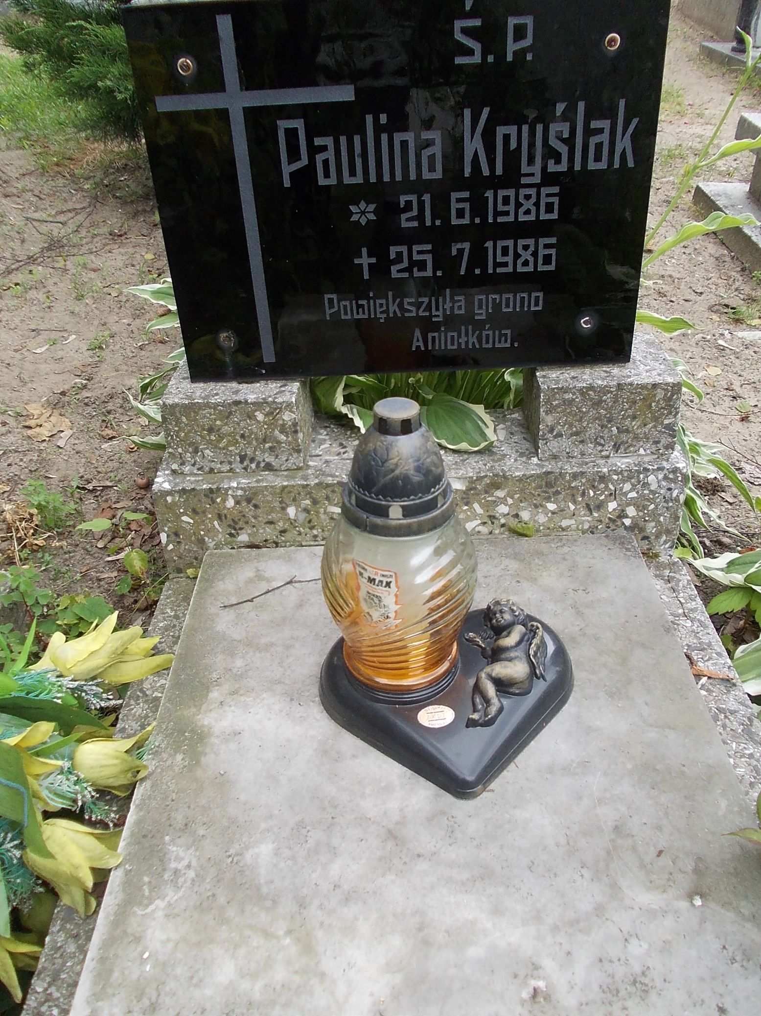 Grób Paulina Kryślak
