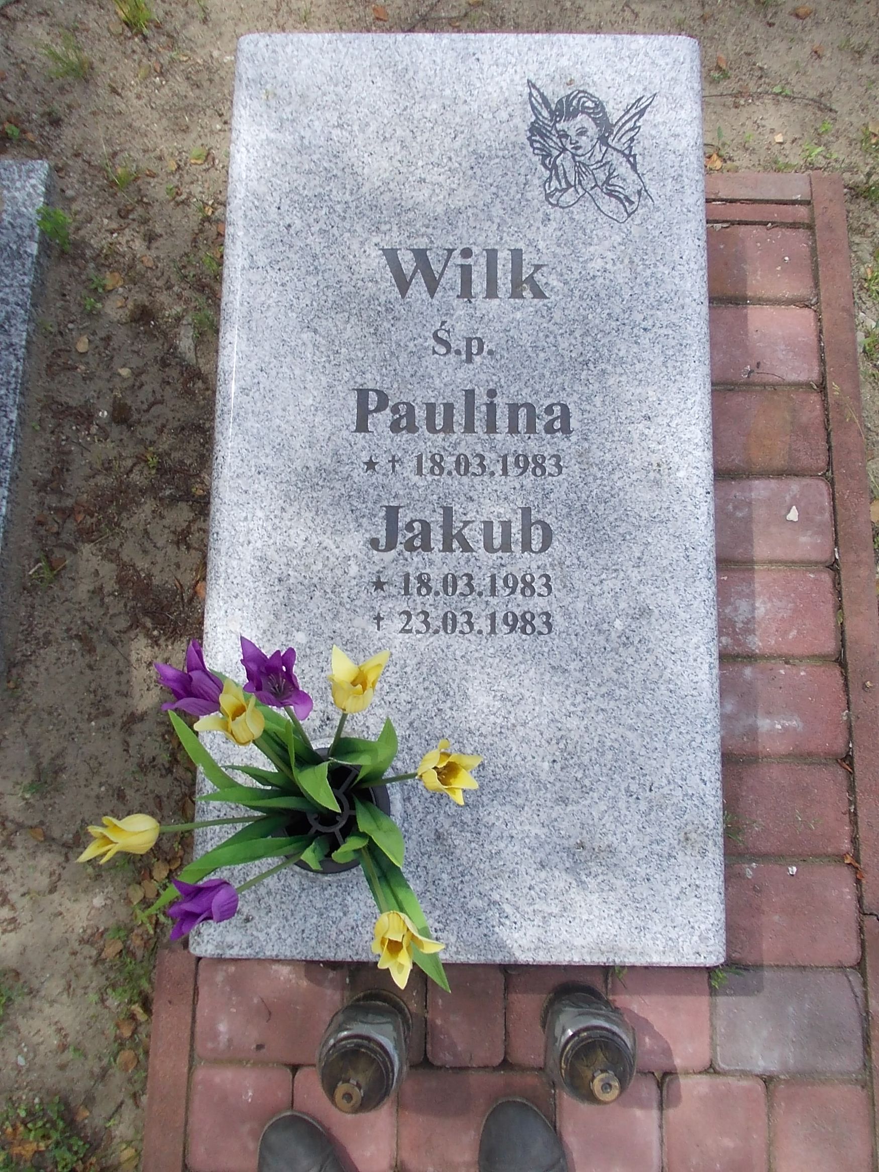 Jakub Wilk 1983 Gniezno Fara - Grobonet - Wyszukiwarka osób pochowanych