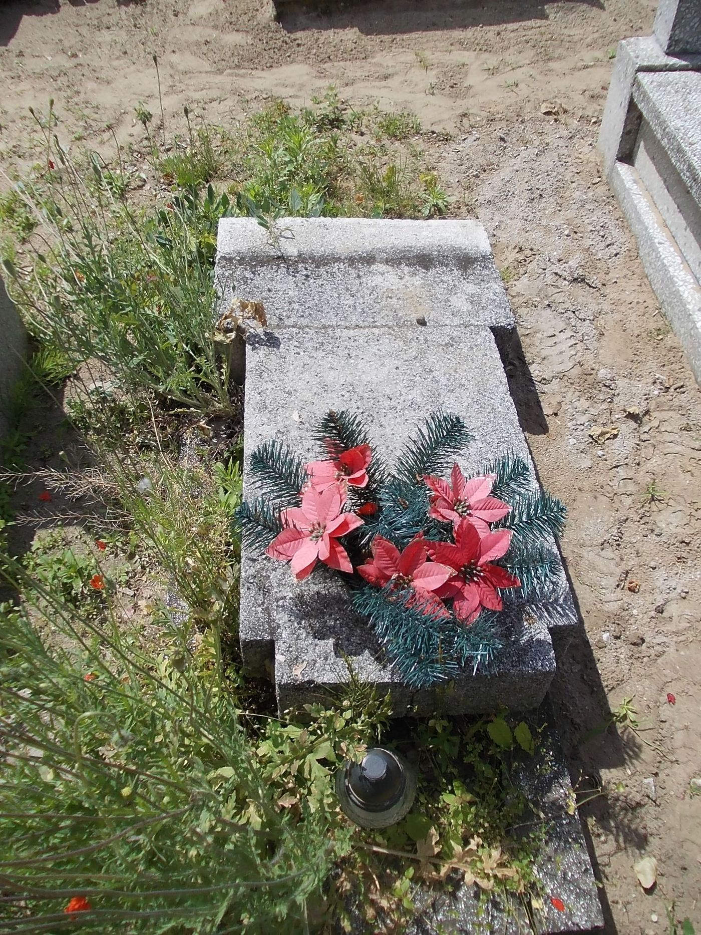 Roman Mazurek 1946 Gniezno Fara - Grobonet - Wyszukiwarka osób pochowanych