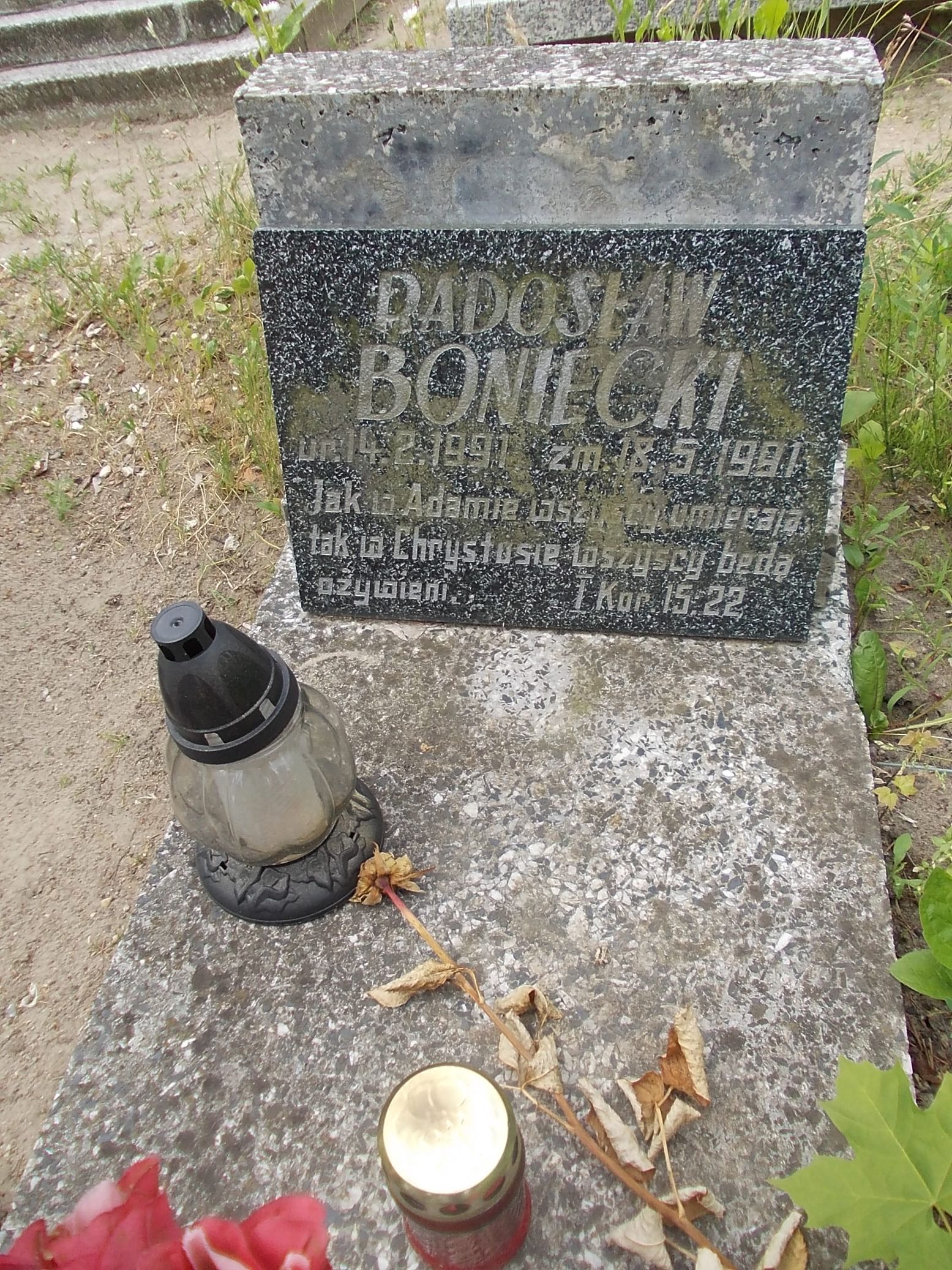 Radosław Boniecki 1991 Gniezno Fara - Grobonet - Wyszukiwarka osób pochowanych