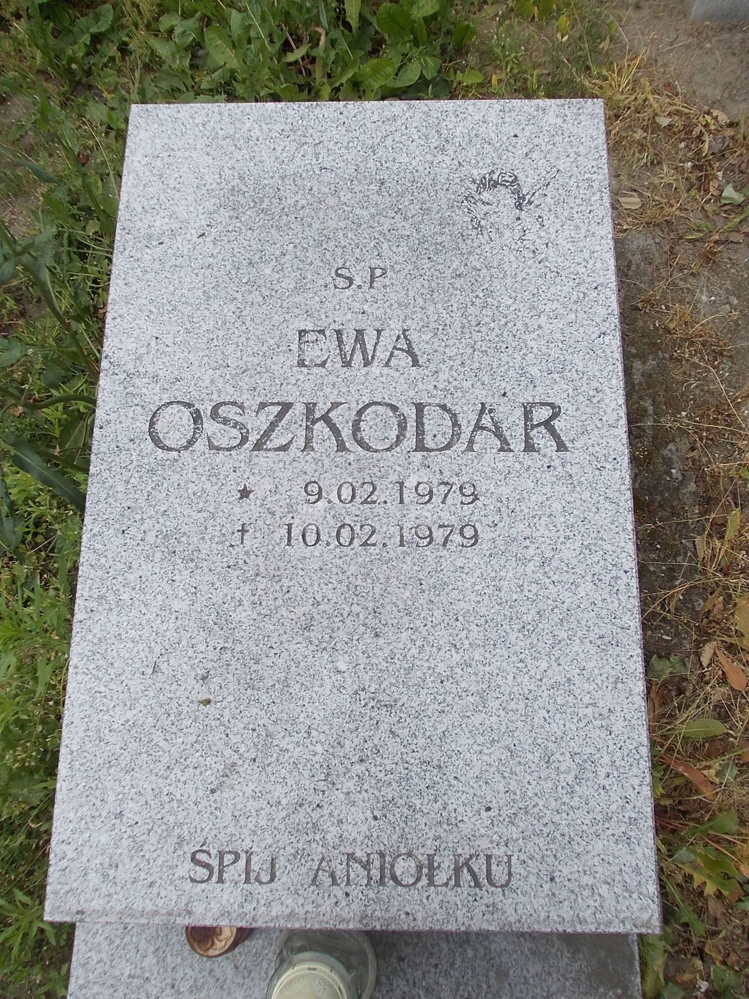 Ewa Oszkodar 1979 Gniezno Fara - Grobonet - Wyszukiwarka osób pochowanych