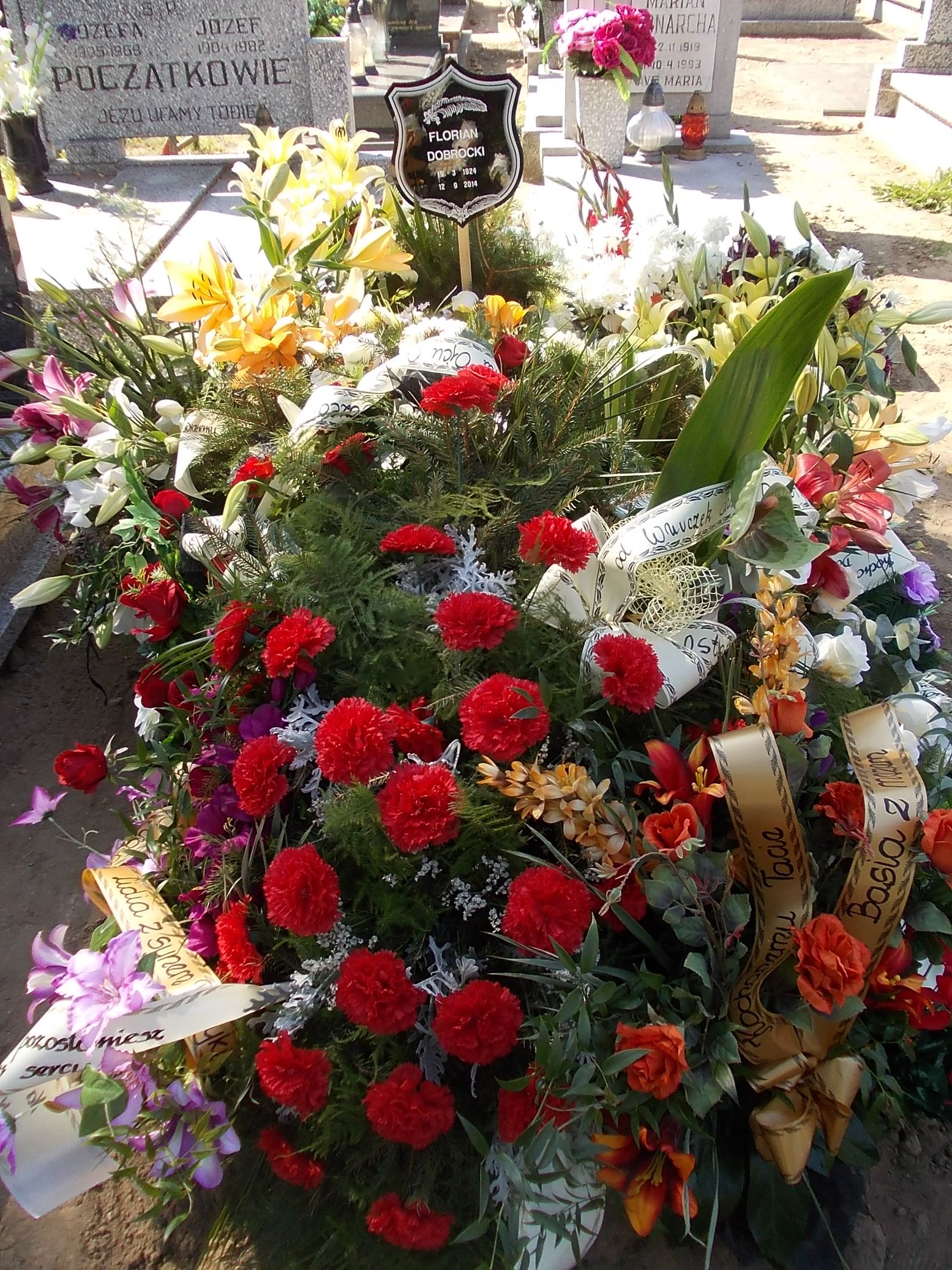 Franciszka Witkowska Gniezno Fara - Grobonet - Wyszukiwarka osób pochowanych