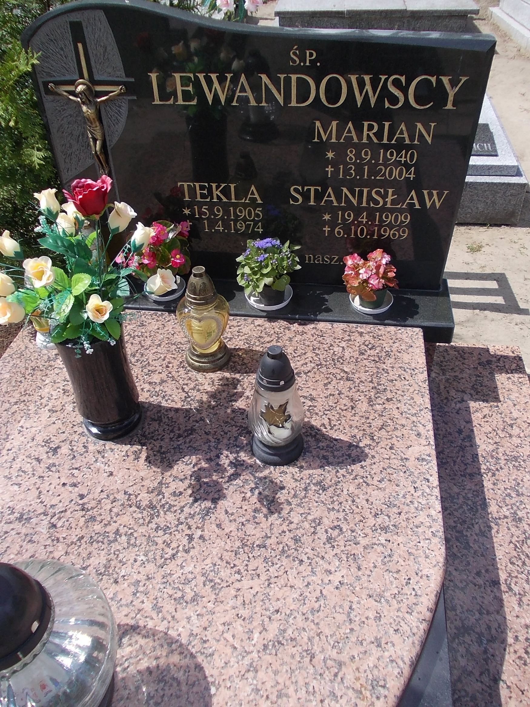 Tekla Lewandowska 1905 Gniezno Fara - Grobonet - Wyszukiwarka osób pochowanych