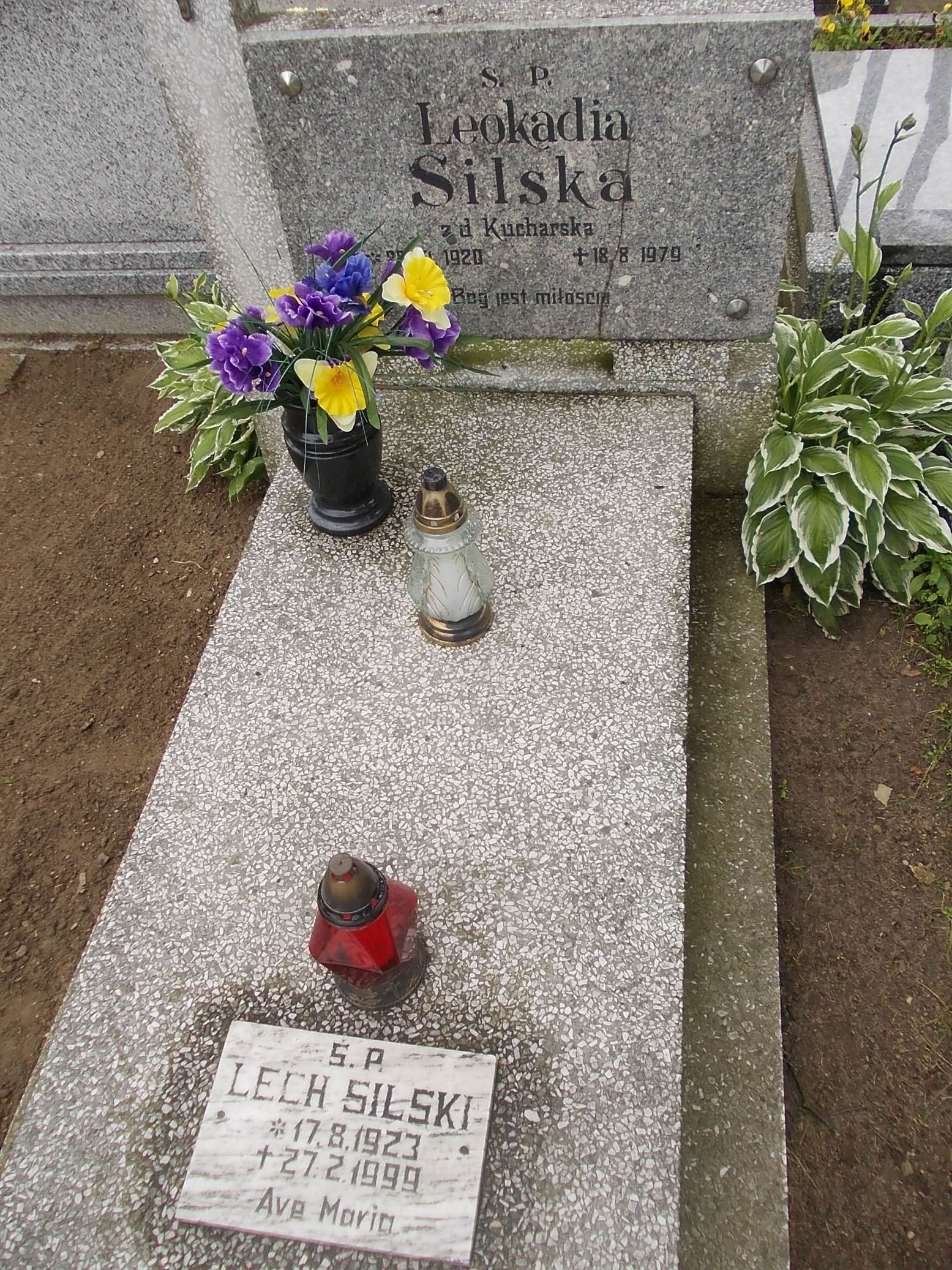 Lech Silski 1923 Gniezno Fara - Grobonet - Wyszukiwarka osób pochowanych