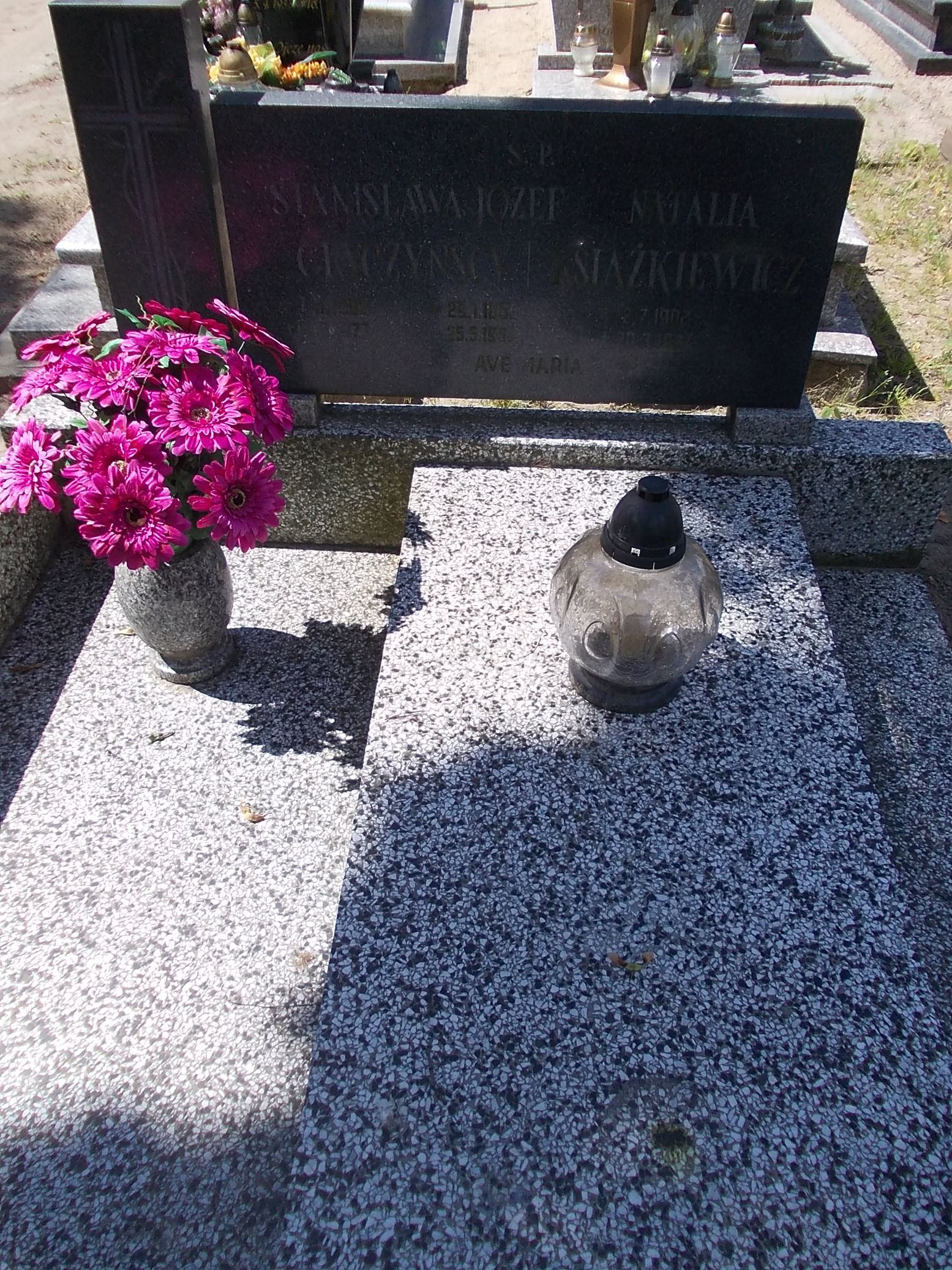 Natalia Książkiewicz 1902 Gniezno Fara - Grobonet - Wyszukiwarka osób pochowanych