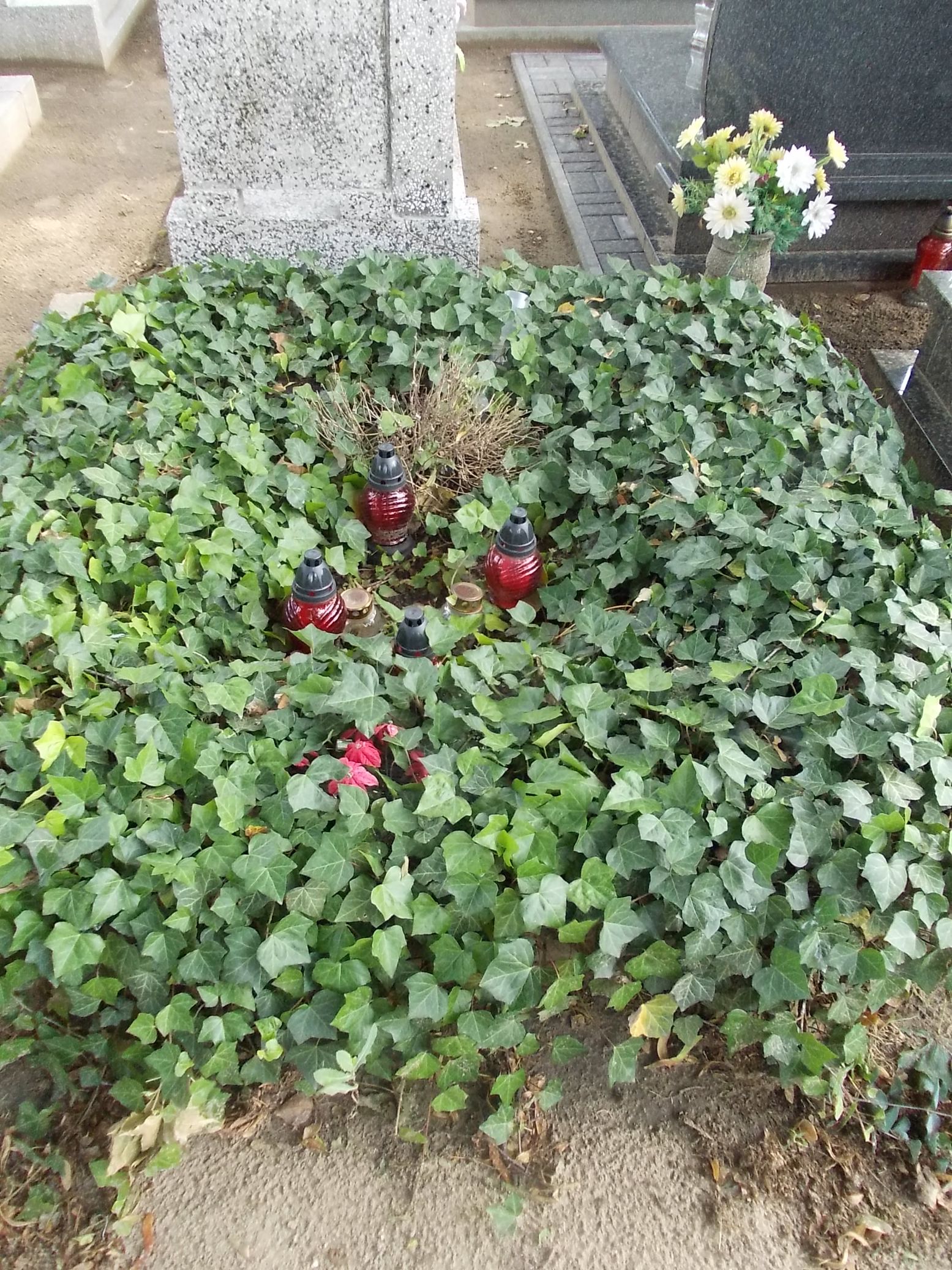 Aniela Pilarczyk 1956 Gniezno Fara - Grobonet - Wyszukiwarka osób pochowanych